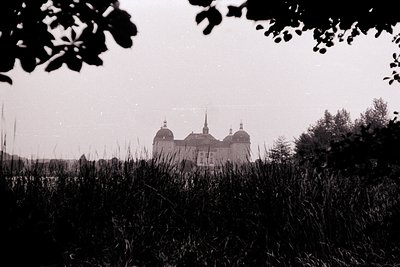 Neoclassical estate partially obscured by foliage, featuring domed towers and symmetrical architecture. Black-and-white vinta...