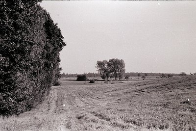 Vintage black-and-white rural landscape featuring plowed fields with visible furrows, bordered by dense tree foliage. Open ho...