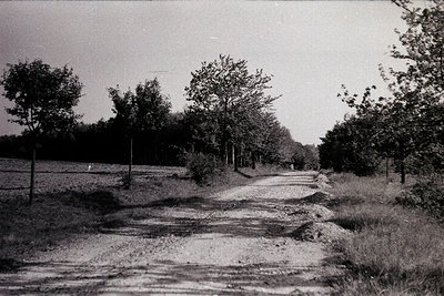 Rural dirt road flanked by overgrown grass and trees, leading into dense foliage. Black-and-white vintage photograph, likely ...