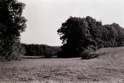 Black-and-white landscape featuring dense tree line framing a grassy field with subtle undulations. Overcast sky enhances mut...