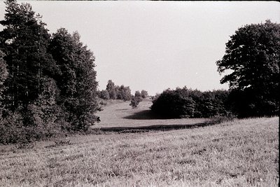 Black-and-white rural landscape featuring a winding gravel road flanked by dense tree lines and open grassy fields. The compo...