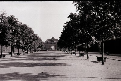 Neatly aligned trees flank a wide, empty road leading to a grand classical-style building with a central dome and symmetrical...