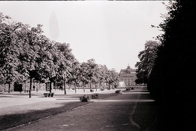 Neatly manicured park pathway flanked by evenly spaced trees, leading to a classical-style building with symmetrical windows ...