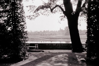 Black-and-white landscape framed by dense foliage, showcasing a serene lake bordered by distant trees and a low-lying buildin...