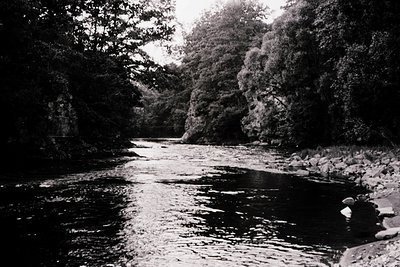 Black-and-white river scene with dense foliage framing both banks. Sunlight filters through leaves, casting dappled reflectio...