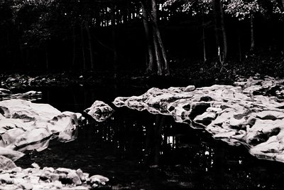 High-contrast black-and-white shot of a shallow, rocky stream bordered by dense forest. Sunlight filters through tree canopie...