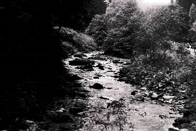 High-contrast black-and-white shot of a shallow mountain stream winding through rocky terrain, bordered by dense forest. Sunl...