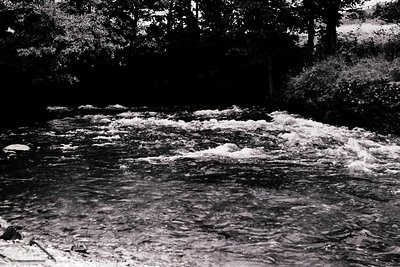 High-contrast black-and-white shot of a turbulent river flowing through a forested area, with frothy rapids and dense tree sh...