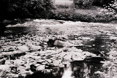 Black-and-white river scene with fragmented ice floes and turbulent water, framed by dense foliage. High-contrast lighting em...