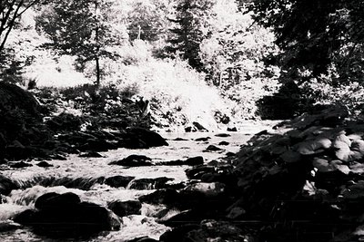 High-contrast black-and-white shot of a rocky mountain stream, surrounded by dense coniferous forest. Sunlight filters throug...