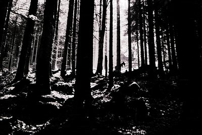 High-contrast black-and-white forest scene with dense coniferous trees framing a lone figure in motion. Snow-covered ground a...