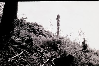 Black-and-white shot of a lone, weathered concrete pillar rising from a dense, overgrown hillside. Vegetation dominates the f...