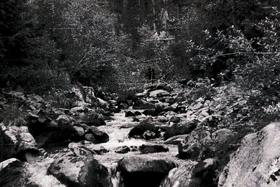 Monochrome forest stream cascading over rugged rocks in dense woodland. High-contrast lighting highlights water flow and tree...