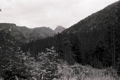 Vintage black-and-white landscape of dense forested mountains with misty peaks, likely mid-20th century. Power lines and spar...