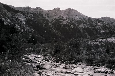 Black-and-white mountain landscape featuring rugged peaks, dense forest, and a rocky riverbed. The scene suggests early 20th-...