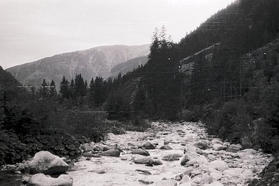 Black-and-white alpine river winding through rocky terrain, flanked by dense coniferous forest and steep slopes. Early 20th-c...