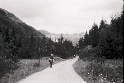 Mid-20th century alpine road scene with lone hiker in vintage attire. Dense coniferous forest frames a winding gravel path le...