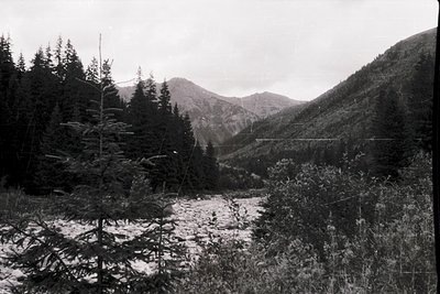 Black-and-white alpine valley scene with dense coniferous forest framing a shallow riverbed. Rugged peaks and misty slopes do...