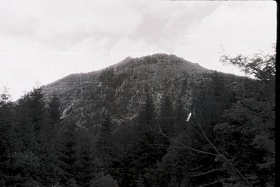 Vintage black-and-white shot of rugged mountain terrain with dense forest cover. Overgrown power lines stretch across the fra...