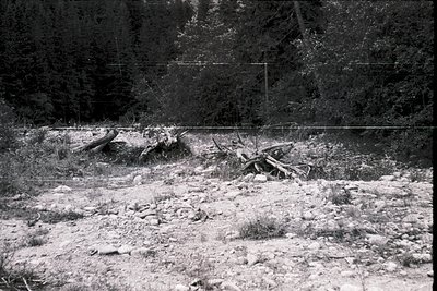 Mid-20th century black-and-white photo of a deforested, eroded hillside with exposed roots and rocky terrain. Barbed wire fen...