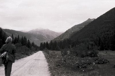 Black-and-white shot of solitary hiker on a winding mountain road, surrounded by dense coniferous forest. Misty peaks and rug...
