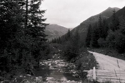 Black-and-white alpine valley scene featuring a winding road flanked by evergreen trees. Snow patches and a shallow stream cr...