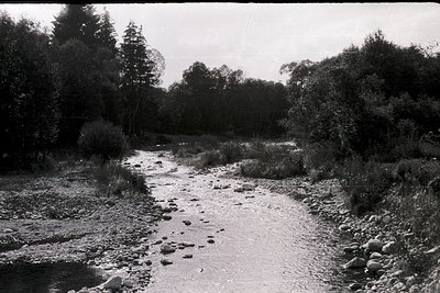 Black-and-white landscape featuring a shallow, rocky stream bordered by dense foliage and trees. The path appears dry, sugges...