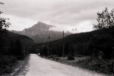 Black-and-white rural road winding through dense forest toward a towering mountain peak, framed by utility poles and telegrap...