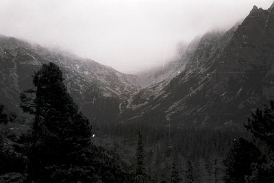 Misty alpine valley framed by dense coniferous forest, captured in monochrome. Snow-capped peaks loom in the background, part...