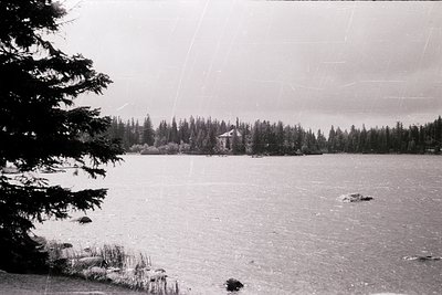 Black-and-white lakeside scene with dense coniferous forest framing a small, isolated cabin on a rocky peninsula. Ripples and...