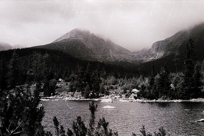 Vintage black-and-white alpine lake framed by dense coniferous forest and rugged peaks. Mist lingers over water and mountains...
