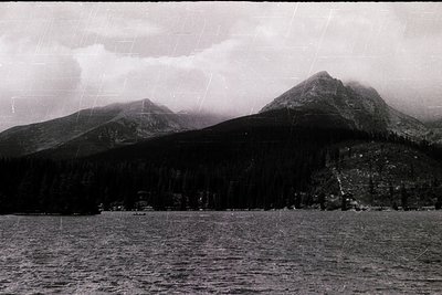 Black-and-white coastal landscape featuring misty mountains framing a serene lake or sea. Dense forest covers lower slopes, w...