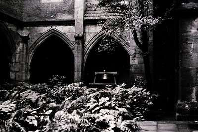 Gothic stone arches frame a sunlit courtyard with lush greenery and a central stone urn. Likely a historic European cloister,...