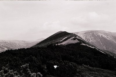 Black-and-white mountain landscape with dense forest foreground and rocky peak in mid-ground. Mist or low clouds partially ob...
