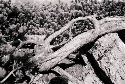 Close-up of weathered wooden beams and stonework, likely part of a historic alpine structure. The intricate carvings and aged...