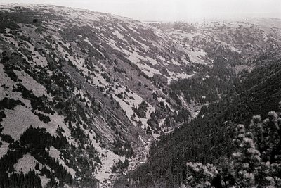 Aerial black-and-white view of a rugged alpine valley with sparse snow patches, dense coniferous forests, and winding trails....
