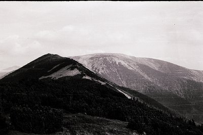 Black-and-white mountain landscape with steep, rocky slopes and dense forest cover. The scene captures rugged alpine terrain ...