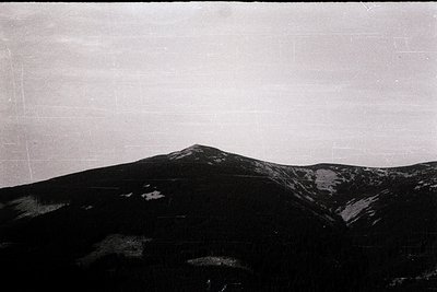 Vintage black-and-white mountain landscape with dense forest foreground and rocky peak. Dramatic lighting highlights texture ...