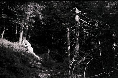 Silhouetted figure seated on rocky hillside amid dense forest of coniferous trees, captured in high-contrast monochrome. The ...