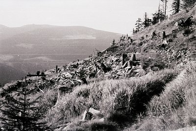 Black-and-white landscape showing a rugged, forested hillside with stacked stone walls and sparse vegetation. Distant valley ...