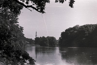 Black-and-white lake scene framed by dense foliage, featuring a lone tower rising behind trees. Likely mid-20th century due t...