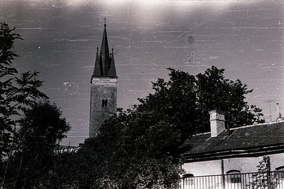 Vintage black-and-white shot of a Gothic-style church steeple framed by dense foliage. Architectural details include a pointe...