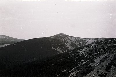 Vintage black-and-white mountain landscape with dense forest cover and rocky peaks, likely Eastern Europe. The hazy horizon s...