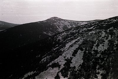 Vintage black-and-white aerial view of rugged alpine terrain with dense forest patches and rocky slopes. The central peak dom...