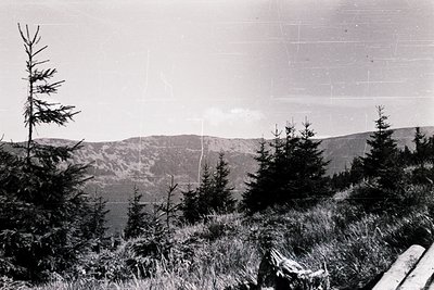 Black-and-white landscape featuring rugged alpine terrain with dense coniferous forest and rocky peaks. The composition highl...