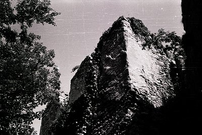 Black-and-white mountain peak framed by dense forest, showcasing rugged rock formations and layered textures. Likely captured...