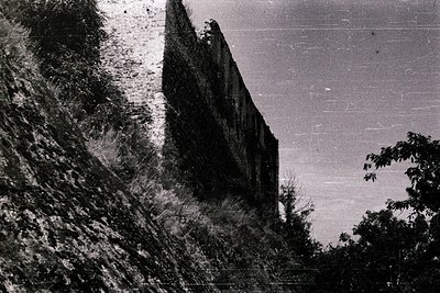 Vintage black-and-white shot of a weathered stone tower rising from dense foliage, likely a historic ruin. Heavy moss and ero...