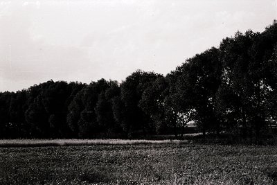 Black-and-white rural landscape featuring dense tree line framing a distant farmhouse. Mid-20th century agricultural setting ...