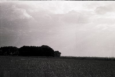 Vintage black-and-white landscape featuring a vast, undulating field with mature crops under a dramatic, cloud-filled sky. De...