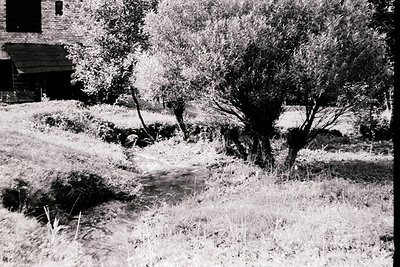 Black-and-white rural scene featuring a small, sunken pond surrounded by overgrown grass and trees. A weathered wooden struct...